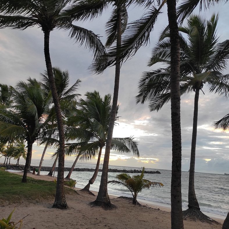 Ilha de Itaparica -  Salvador da Bahia -  Club Med