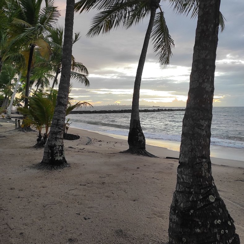 Ilha de Itaparica -  Salvador da Bahia -  Club Med