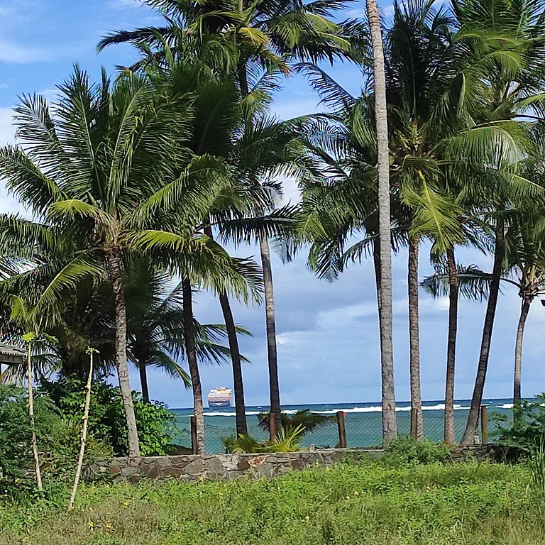 Ilha de Itaparica -  Salvador da Bahia -  Club Med