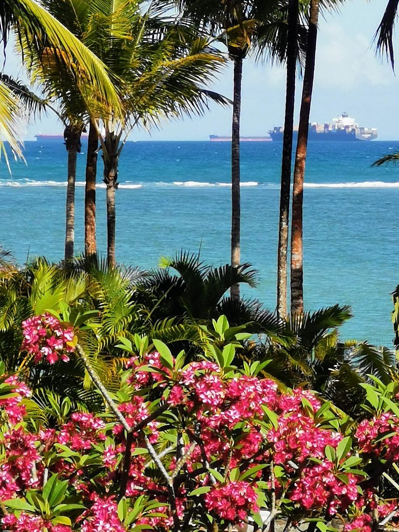 Ilha de Itaparica -  Salvador da Bahia -  Club Med