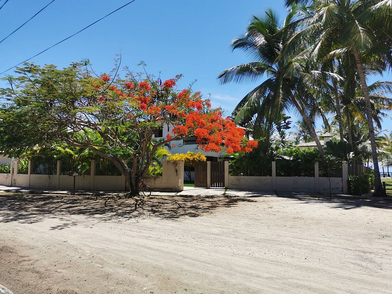 Ilha de Itaparica -  Salvador da Bahia -  Club Med