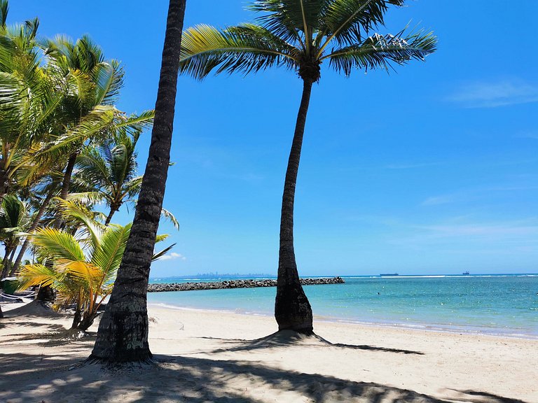 Ilha de Itaparica -  Salvador da Bahia -  Club Med