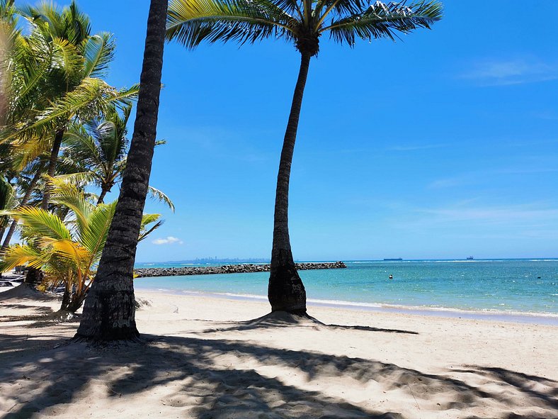 Ilha de Itaparica -  Salvador da Bahia -  Club Med