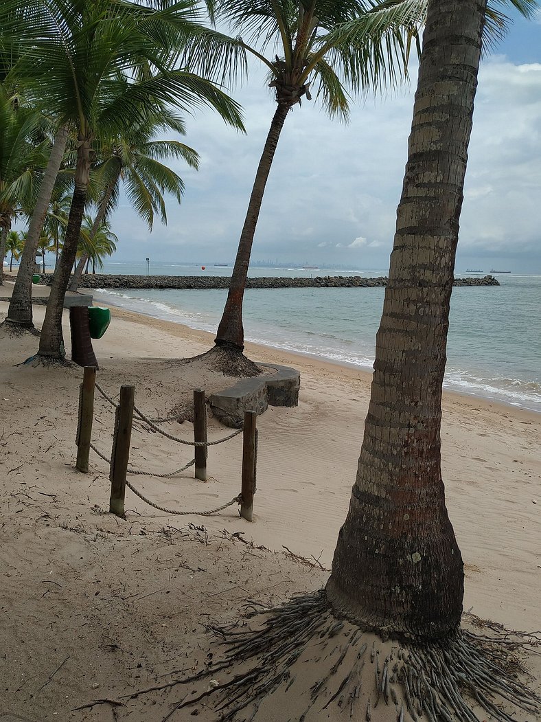 Ilha de Itaparica -  Salvador da Bahia -  Club Med