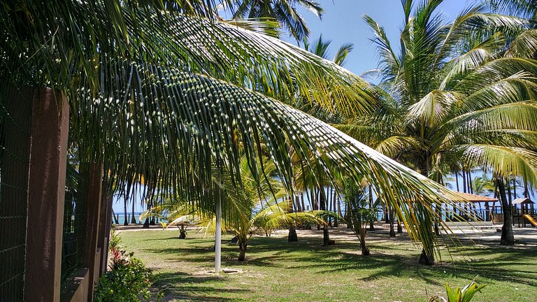 Ilha de Itaparica -  Salvador da Bahia -  Club Med